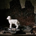 Sheep and the way of nature: a photo series about shepherds in the Caucasus